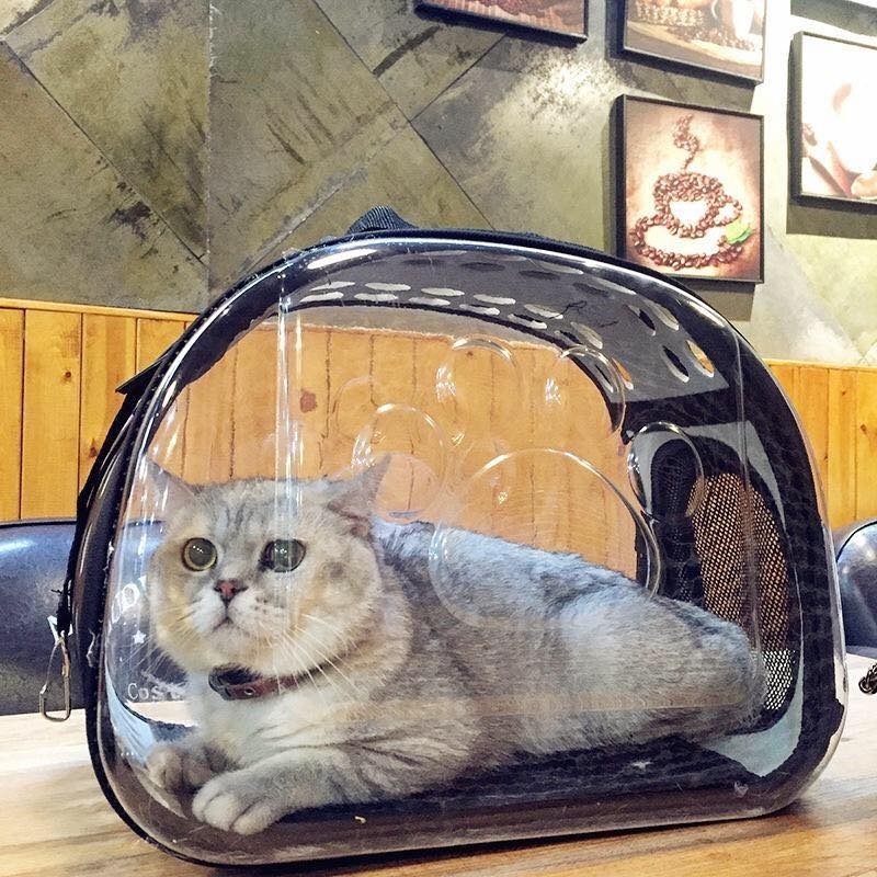 bolsos para gatos