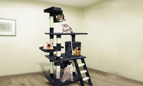 torre para gatos