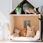 casas para gatos de madera