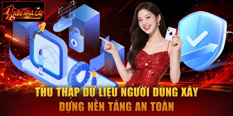 Thu thập dữ liệu người dùng xây dựng nền tảng an toàn